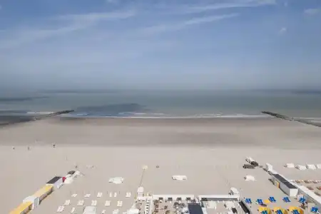 Beach Palace by CW Collection - 34