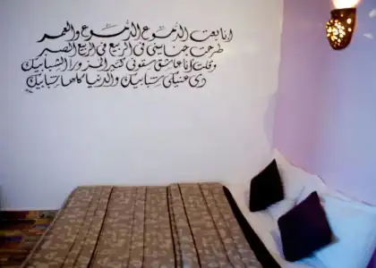 Hadouta Masreya Nubian Guest House - 49