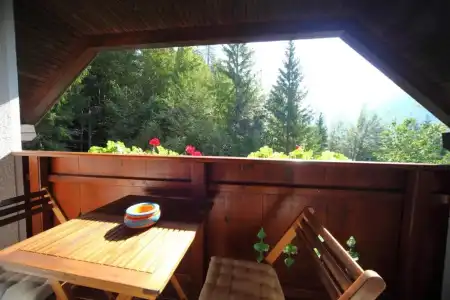Vila Edelweiss Rooms&App Kranjska Gora - 25