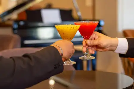 Guadalajara Plaza Expo Business Class - 29