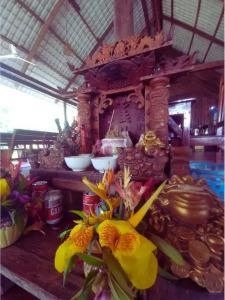 Dolphin Bay Resort - 22