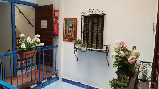 Pension Giraldilla - 23