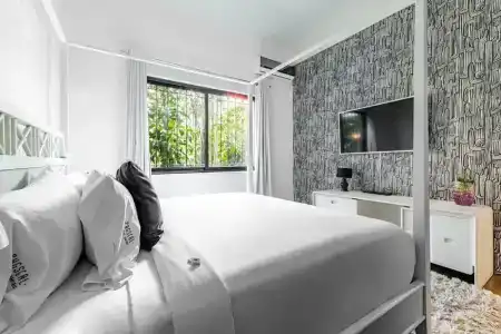 Pug Seal Polanco Anatole France - 47
