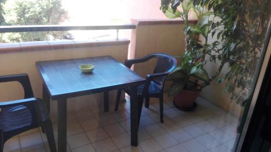 B&B Agave - 30