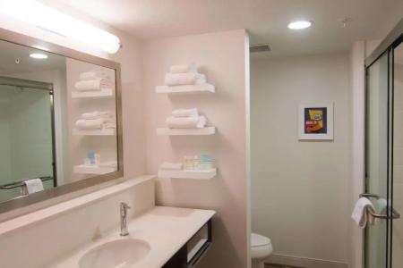 Hampton Inn and Suites Tulsa Downtown - 47