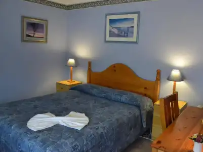 Palms Bed & Breakfast - 0