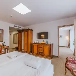 Paryski Art & Business Zakopane - Basen Jacuzzi Sauna Małpi Gaj - 27