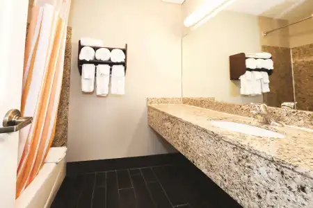 La Quinta Inn by Wyndham Sandusky near Cedar Point - 7