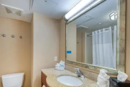 Hampton Inn Wilmington - University Area/Smith Creek Station - 84