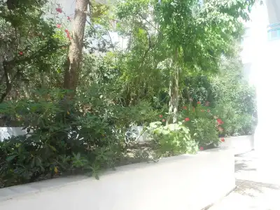 Elalia Apartments - 11
