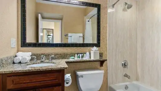 Holiday Inn & Suites Clearwater Beach by IHG - 108
