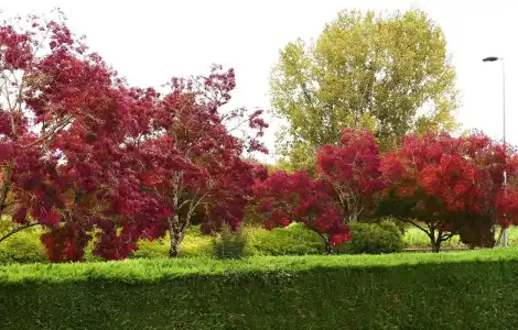 Le Provençal - 22