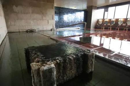 Fujiya Ryokan - 21