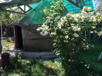Turkestan Yurt Camp - 18