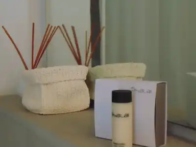 Shalai - Exclusive SPA and small gourmet - 38