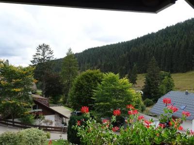 Schwarzwald-Pension Kräutle - 34