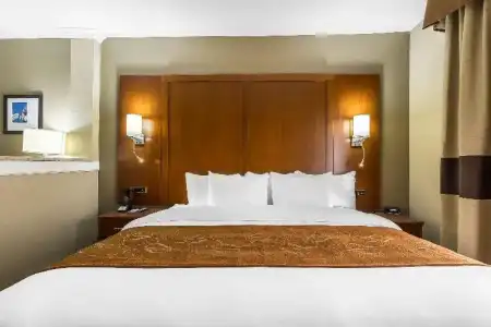 Comfort Suites University - 45