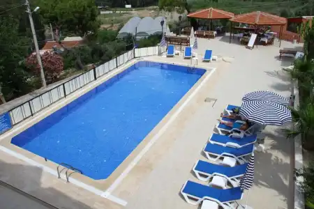 Apollon - 8