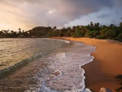 Turtle Beach Resort - 20