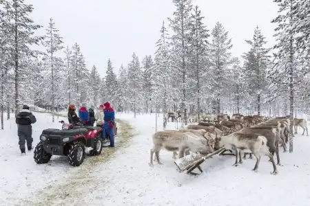Ranua Resort Arctic Igloos - 14