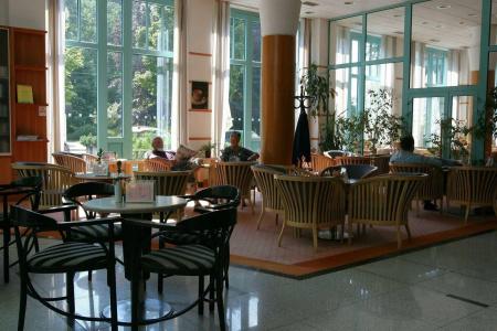 OREA Spa Cristal Mariánské Lázně - 25