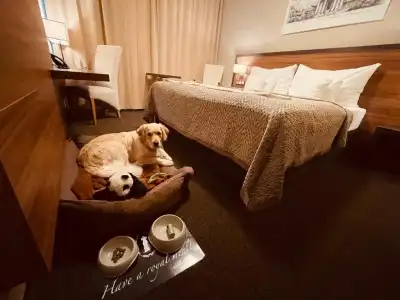 Premium Business Bratislava - 42