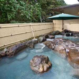 Ryokan Takechiyo Kirishima Bettei - 21