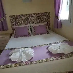 Canna Garden - Adults Only - 19