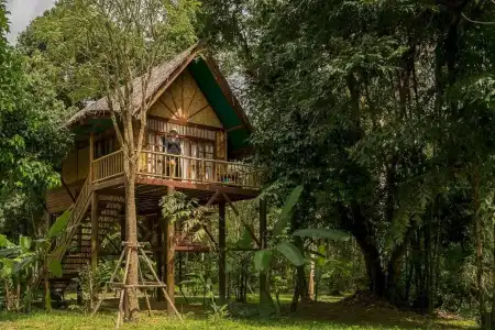 Our Jungle Camp - Eco Resort - 56