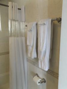 City Center Motel - 51