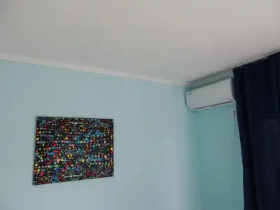 Kolkheti Inn - 9