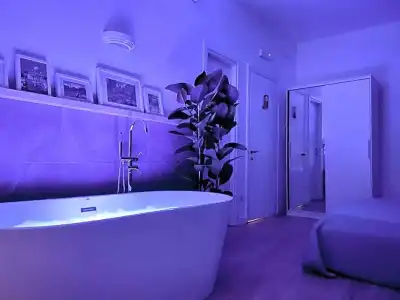 Le Coq Suites - 23