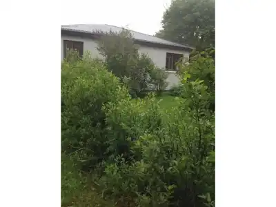 Veghús Guesthouse - 21