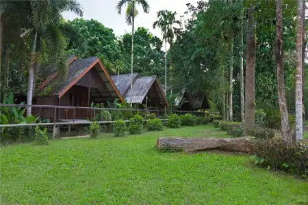 Khao Sok Riverside Cottage - 139