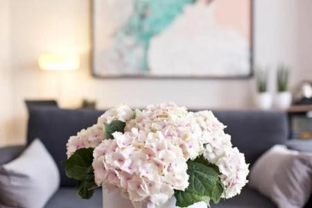 Benefis Boutique - 45