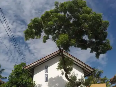 The Hostel Mirissa - 13