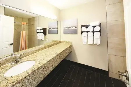 La Quinta Inn by Wyndham Sandusky near Cedar Point - 42