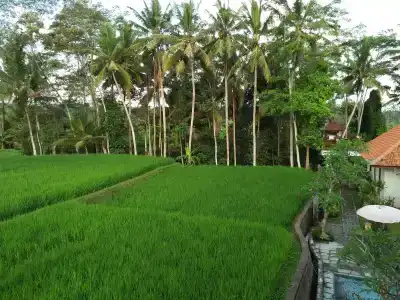 Kubu Bali Baik Villa & Resort - 17