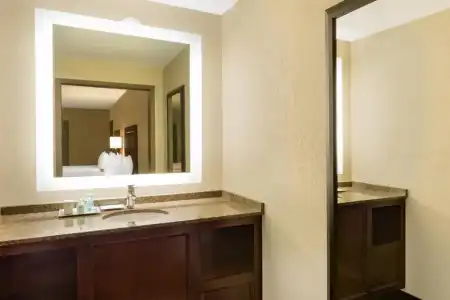 Wyndham New Orleans - French Quarter - 28