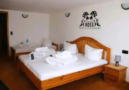 Schwarzes Ross & Restaurant Oberwiesenthal - 39