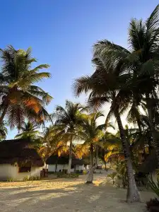 Alito Tulum - 11