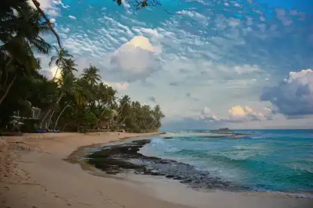 Shanthi beach resort - 15