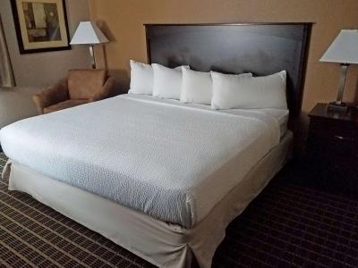 Americas Best Value Inn and Suites Bismarck - 36