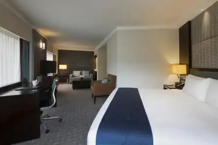 Holiday Inn Singapore Orchard City Centre by IHG - 59