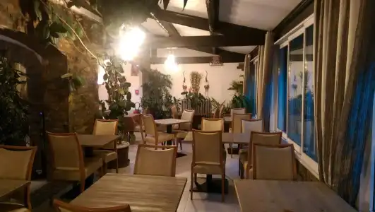 Hôtel Le Dauphin Bleu - 18