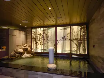 Dormy Inn SEOUL Gangnam - 18