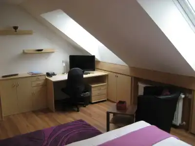 Neu Heidelberg - Guesthouse & Apartments - 2