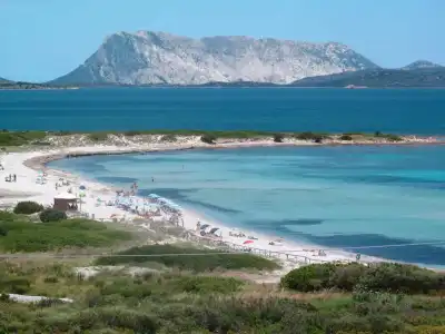Gallura (TEO261) - 11