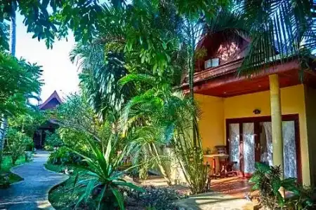 Natural Wing Health Spa & Resort - 48