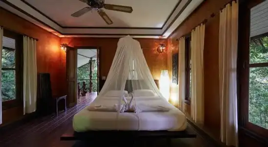 Khao Sok Paradise Resort - 4